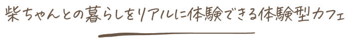 柴ちゃんとの暮らしをリアルに体験できる体験型カフェ