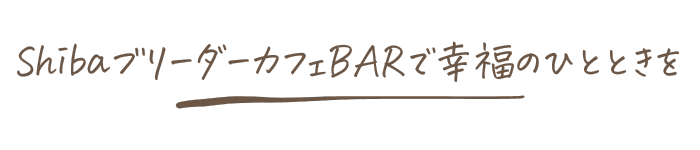 ShibaブリーダーカフェBARで幸福のひとときを
